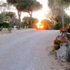 Отель Alba Bed & Breakfast, фото 5