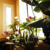 Отель Apartment With Roof Garden, фото 10
