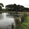 Отель Robin Hoods Well Farm Stay, фото 10