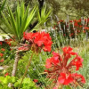 Отель Villa Erato, фото 10