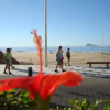 Отель Apartamentos Altea Darsena - Family Apartments, фото 11