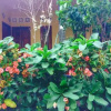 Отель Gili Spoy - Spoy Homestay, фото 9