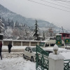 Отель Manali Dreams, фото 4