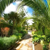 Отель Penthouse Venalmar, фото 6