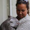 Отель Fauna Australia Wildlife Retreat, фото 6