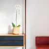 Отель Waterkant Design Cottage, фото 10