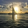 Отель Fiesta Key RV Resort Waterfront Cottage 33, фото 10