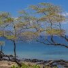 Отель Maui Parkshore #304, фото 17