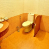 Отель Chokhi Dhani - Desert Camp Resort, фото 7