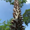 Отель Sexto Sentido Cabañas & Pan Frances, фото 1
