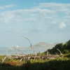Отель The Oceanfront Overlook, фото 9