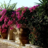 Отель Villa Petra, фото 6