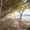 Отель Beach Inn, фото 1