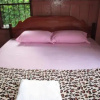 Отель Palm Civet Guesthouse, фото 1