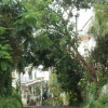 Отель CasaMelhor-Dona Paula, фото 15