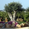 Отель Agriturismo Il Ranch, фото 10