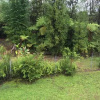Отель Volcano Bamboo View Cottage, фото 8