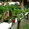 Отель Pousada Canteiros, фото 8