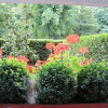 Отель The Hedges Bed & Breakfast, фото 4