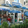 Отель Elvira Hotel- All Inclusive, фото 5