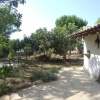 Отель Masseria Le Palmentelle, фото 3