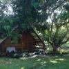 Отель Yang Tone Farm Stay, фото 4