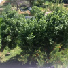 Отель Guest House Fig City, фото 12