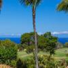 Отель Waikoloa Villas D200, фото 6