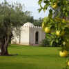 Отель Riad L'Oriental, фото 22