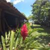 Отель Pousada Das Cores, фото 3