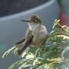 Отель Colibrí House, фото 7