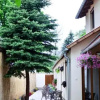 Отель Páva Apartmanház, фото 9