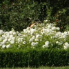 Отель Chateau de Lahitte, фото 7