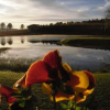Отель Willowbrooke Cottage, фото 2
