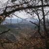Отель Alojamientos Rurales Las Carcavas, фото 3