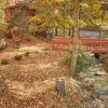 Отель Bear Creek, фото 2