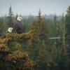 Отель Eagle's Eye Vacation Rentals, фото 10