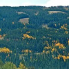 Отель Timber Lodge, фото 12