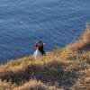 Отель Gamli Skólinn Húsavík, фото 11