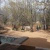 Отель Warthog Rest Lodge, фото 4