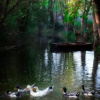 Отель Royal Village Kotromanićevo, фото 3