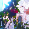 Отель B&B Stone Town, фото 5