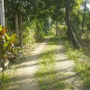 Отель Pondok Abian Homestay Singaraja, фото 4