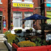 Отель Lyness Guest House, фото 1