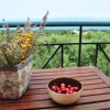Отель Villa Erato, фото 6
