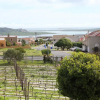 Отель The Vineyard Holiday Home, фото 4