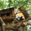 Отель Kumbuk Tree House, фото 19