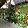Отель Cumaceba Botanical Garden, фото 8