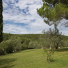 Отель Country House Bosco Lazzeroni, фото 8