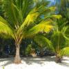 Отель Matriki Beach Huts, фото 17